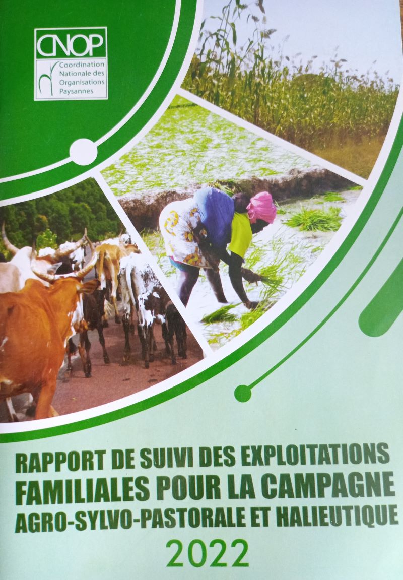 Rapport suivi EF